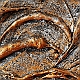 Particolare Bronzo 02